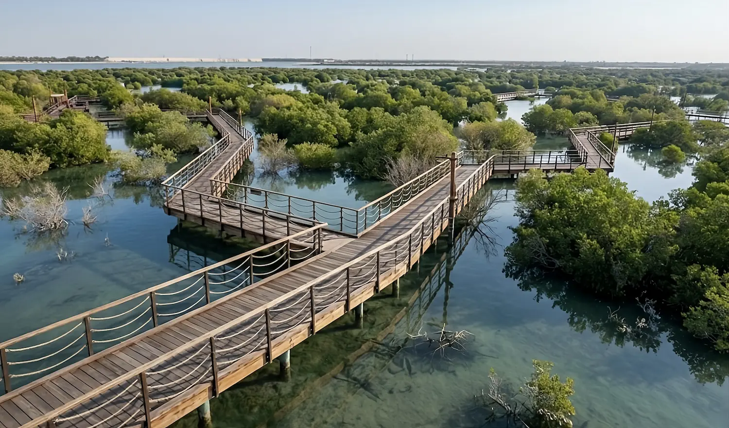 ممشى خشبي تحيط به أشجار القرم في Jubail Mangrove Park على جزيرة الجبيل